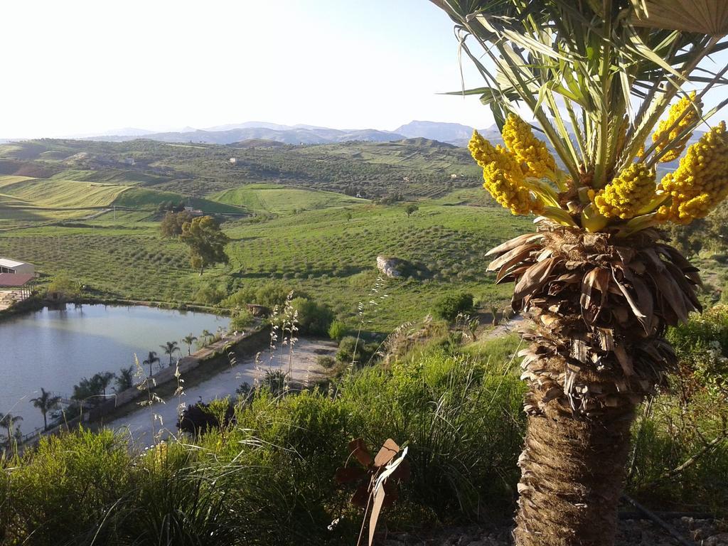 فيلا Ciuci'S Manor Aragona المظهر الخارجي الصورة