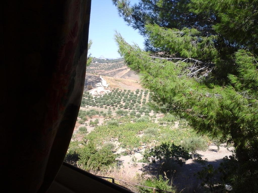 فيلا Ciuci'S Manor Aragona الغرفة الصورة