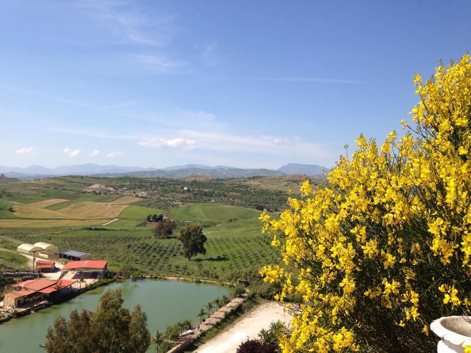فيلا Ciuci'S Manor Aragona المظهر الخارجي الصورة